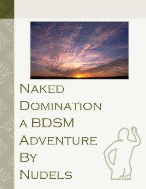 Cover of the book Naked Domination a BDSM Adventure by Elle Mesen