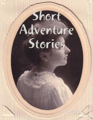 Cover of the book Short Adventure Stories by Claude La Vertu