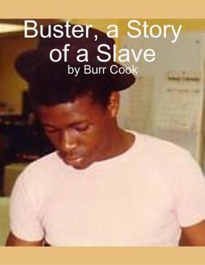 Book cover of Buster, a Story of a Slave