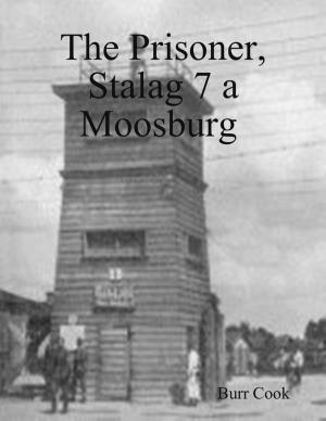 Cover of the book The Prisoner, Stalag 7 a Moosburg by Nathan J.D.L. Rowark