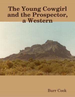 Book cover of The Young Cowgirl and the Prospector, a Western