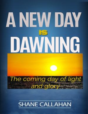Cover of the book A New Day Is Dawning: The Coming Day of Light and Glory by A.M. Brosius