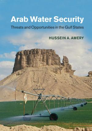 Cover of the book Arab Water Security by Efrat Ben-Ze'ev