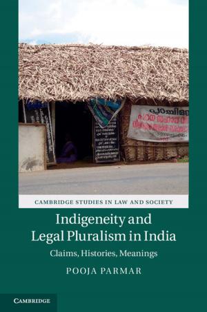 Cover of the book Indigeneity and Legal Pluralism in India by Nicholas Banner