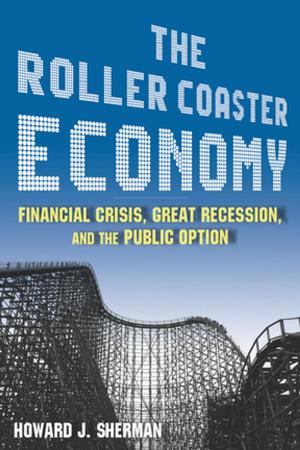 Book cover of The Roller Coaster Economy: Financial Crisis, Great Recession, and the Public Option