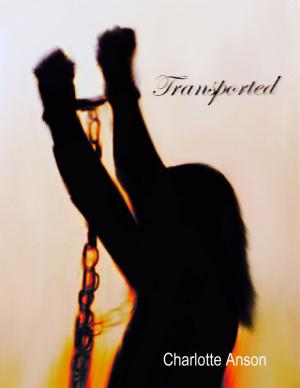 Cover of the book Transported by Susan Hart