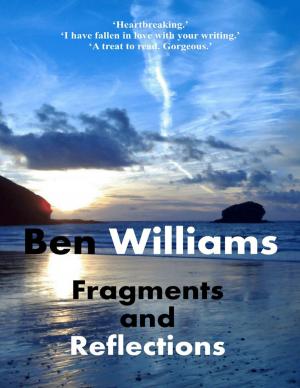bigCover of the book Fragments and Reflections by 