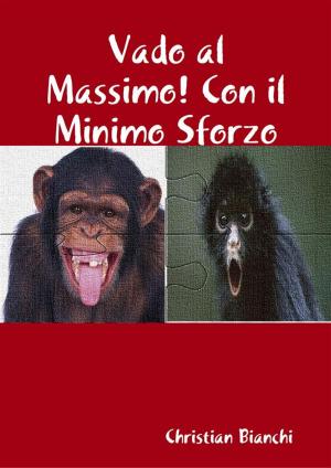 Cover of the book Vado al Massimo! Con il Minimo Sforzo by Matt Fitzgerald
