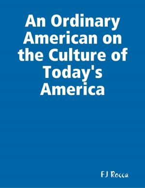 Cover of the book An Ordinary American on the Culture of Today's America by BlackBeltTrade BlackBeltTrade