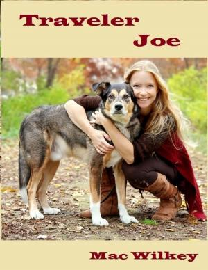 Cover of the book Traveler Joe by Darlene Blaney