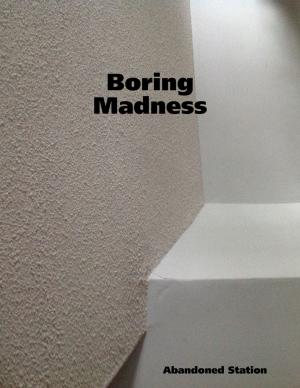 Cover of the book Boring Madness by Emily Christoff-Flowers