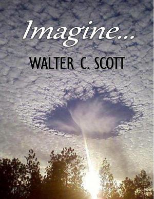 Cover of the book Imagine... by John Derek
