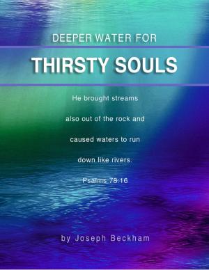Cover of the book Deeper Water for Thirsty Souls by Stephen Earley Jordan II