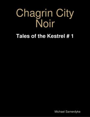 Cover of the book Chagrin City Noir: Tales of the Kestrel # 1 by Dan Casey