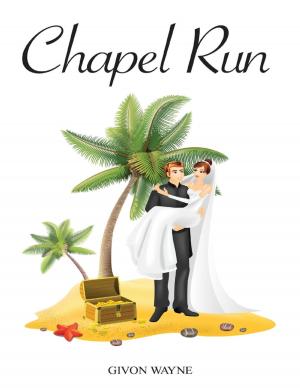 Book cover of Chapel Run