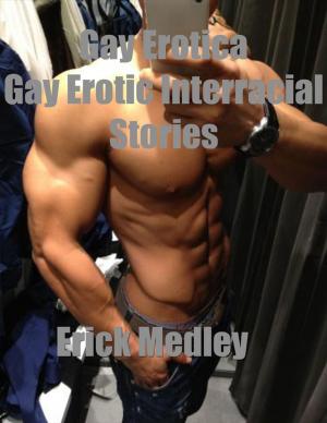 Cover of the book Gay Erotica: Gay Erotic Interracial Stories by World Travel Publishing