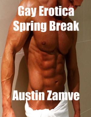Cover of the book Gay Erotica: Spring Break by Dr. Thomas Stark
