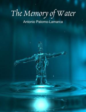 Cover of the book The Memory of Water by Judy Wolff