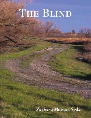 Cover of the book The Blind by Oluwagbemiga Olowosoyo