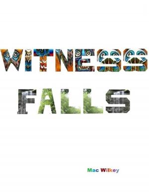 Cover of the book Witness Falls by Dr. Glenn M Cosh