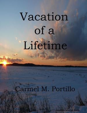 Cover of the book Vacation of a Lifetime by Valerie Reay