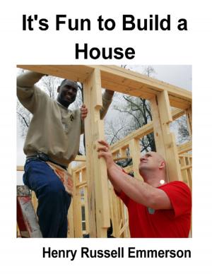 Cover of the book It's Fun to Build a House by Dr. Derrick Drakeford