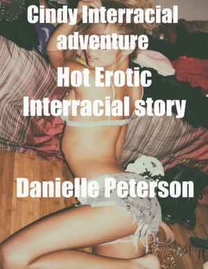 Book cover of Cindy Interracial Adventure Hot Erotic Interracial Story
