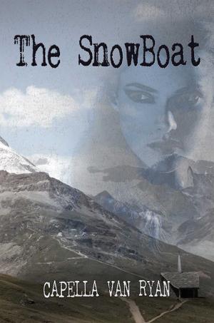 Cover of the book The Snowboat by David Burt