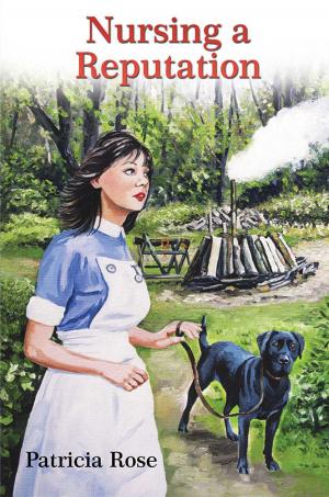 Cover of the book Nursing a Reputation by Amanda Flieder