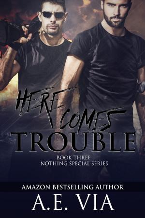 Cover of the book Here Comes Trouble by A.E. Via