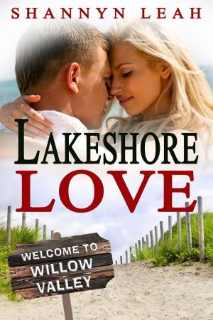 Cover of the book Lakeshore Love by Mary Rajotte