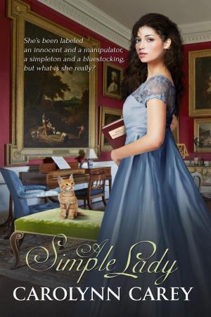 Book cover of A Simple Lady