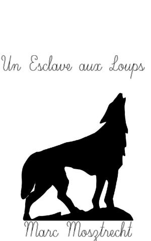 Cover of Un Esclave aux Loups