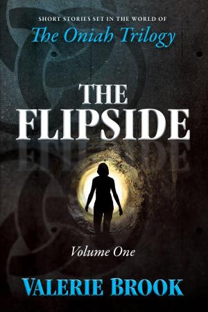 Book cover of The Flipside: Volume One