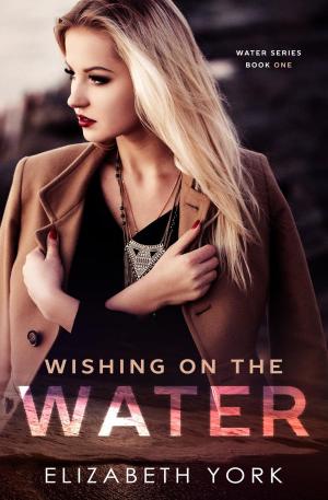 Cover of the book Wishing on the Water by Vicki Green