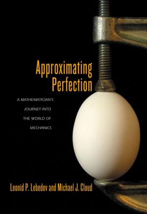 Cover of the book Approximating Perfection by Hilda Sabato