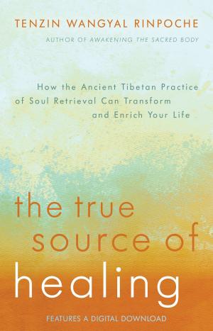 Cover of the book The True Source of Healing by Bruce H. Lipton, Ph.D., Steve Bhaerman