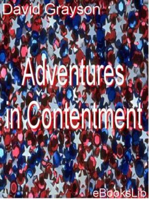 Cover of the book Adventures in Contentment by Adalbert Stifter