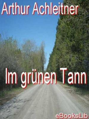 Cover of the book Im grünen Tann by Paul Adam