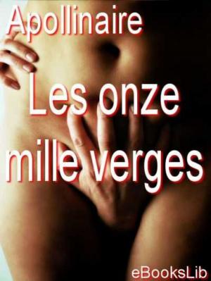 Cover of the book Les onze mille verges by Arthur de Gobineau