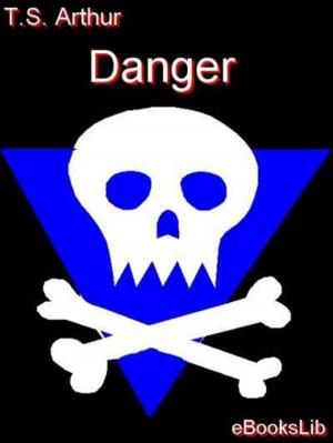 Book cover of Danger