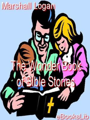 Cover of the book The Wonder Book of Bible Stories by Henry James