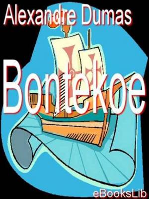 Cover of the book Bontekoe by R. L. Stevenson