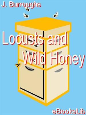 Cover of the book Locusts and Wild Honey by Humphry Ward
