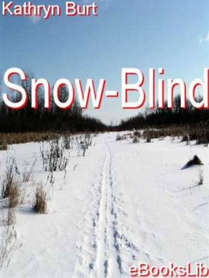 Cover of the book Snow-Blind by Hendrik Willem Van Loon