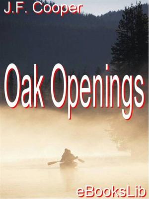 bigCover of the book Oak Openings by 
