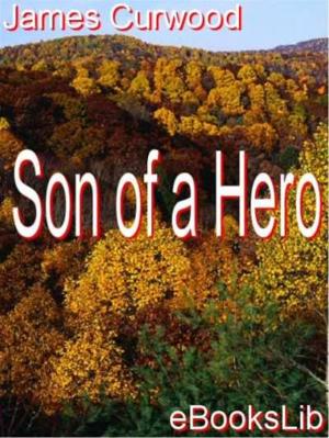 Cover of the book Son of a Hero by Anthony Hope