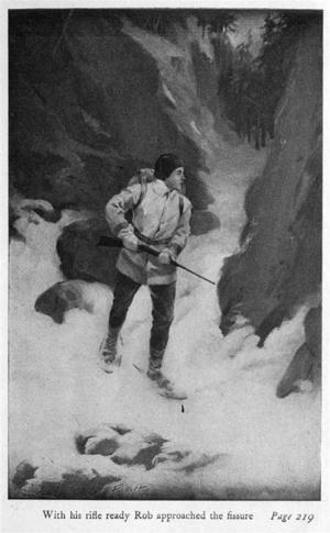 Cover of the book The Wolf Hunters by J.M. Barrie