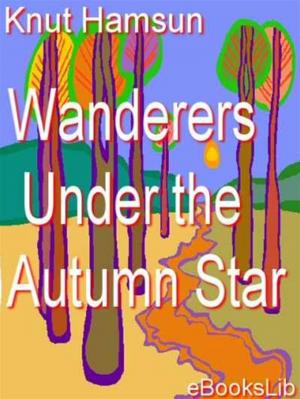 Cover of the book Wanderers - Under the Autumn Star by Charles Sorel
