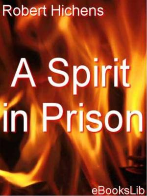 Cover of the book A Spirit in Prison by August Strindberg